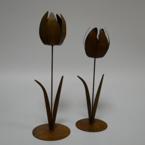 a1).  tulp eco-roest   h.27cm €17,95 en 30cm €20,95