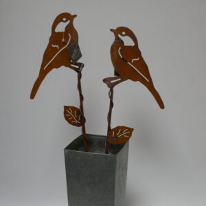 a9)  vogel op steel eco-roest