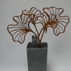 a5). Ginko tuinsteker h. 50cm